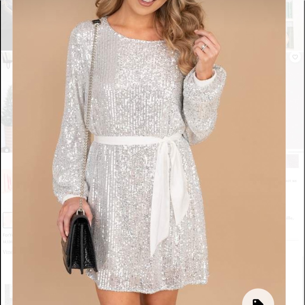 Silver sequin dress. Worn once.
